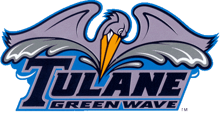 Tulane Green Wave 1998-Pres Alternate Logo v2 iron on transfers for fabric